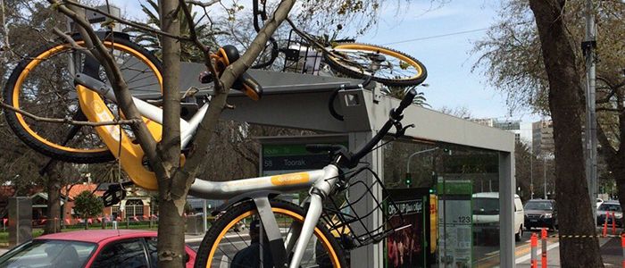 o-bike-tree-tw