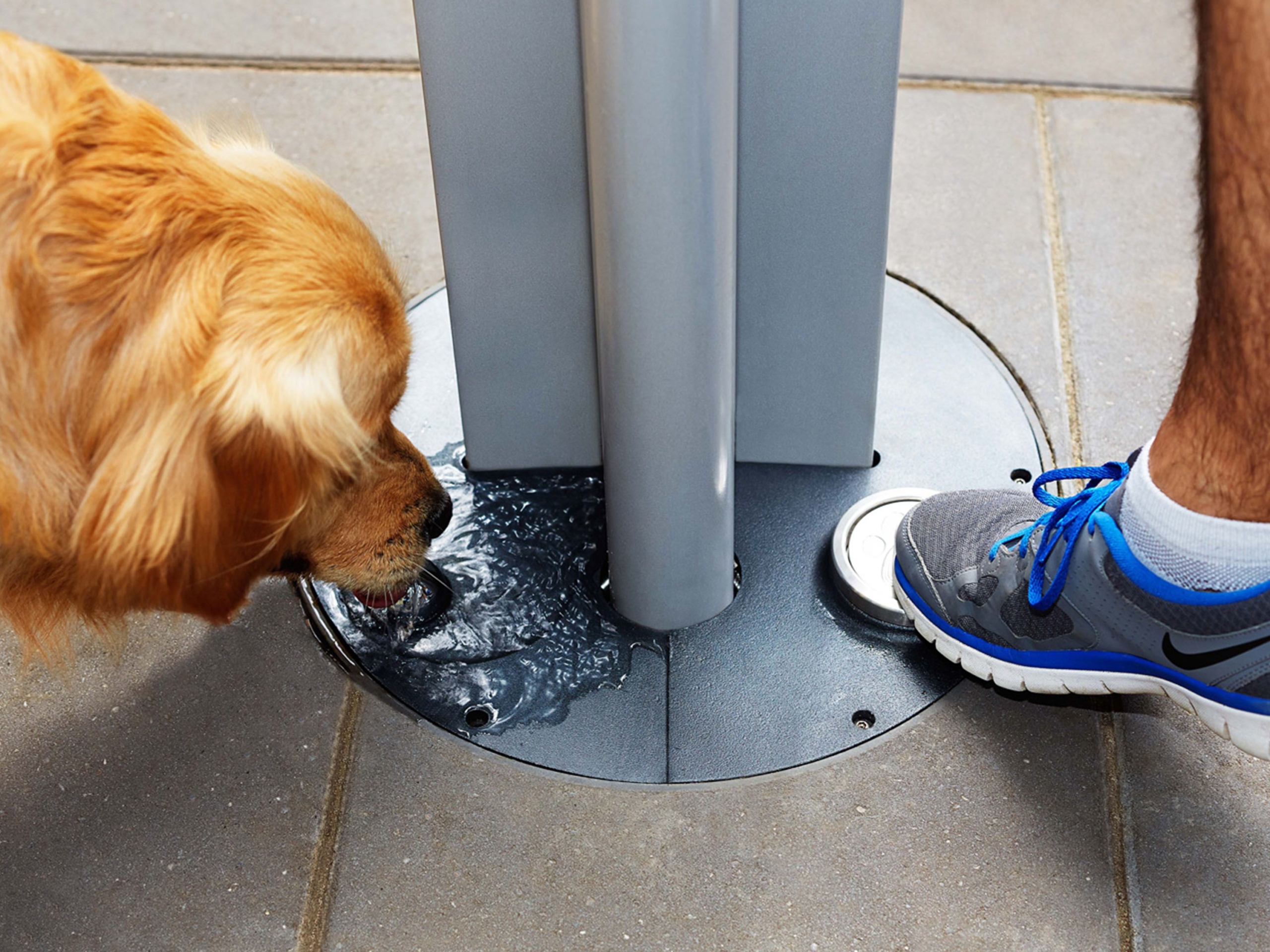 dog bubbler 5