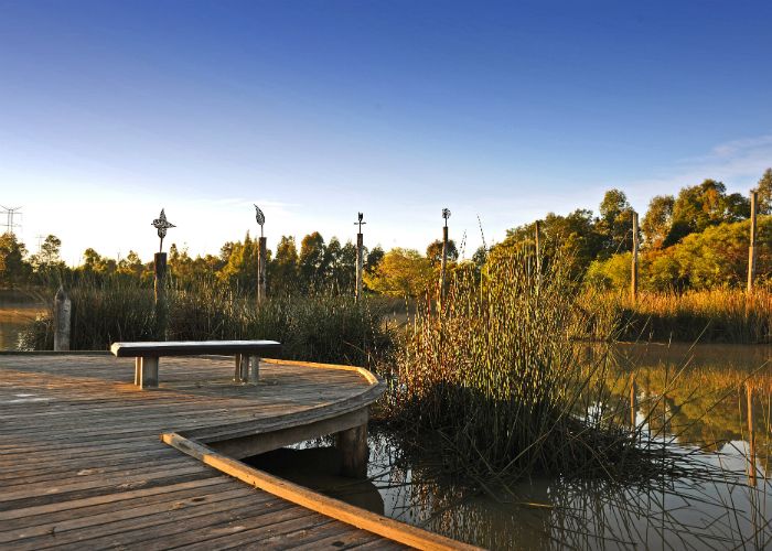 Blue Hills Wetland-sc