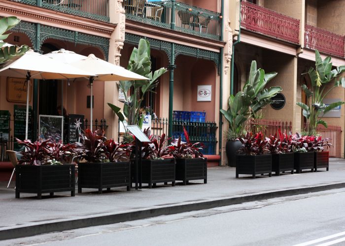 The Rocks, planter boxes