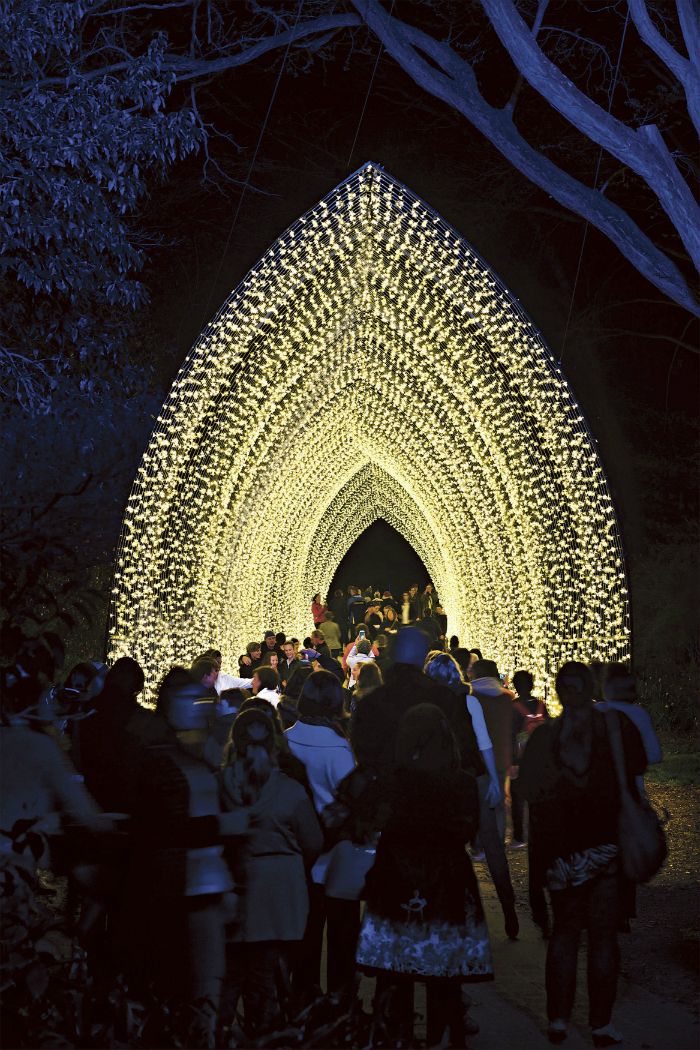 The Cathedral of Light, in the Royal Botanic Gardens for Vivid 2016
