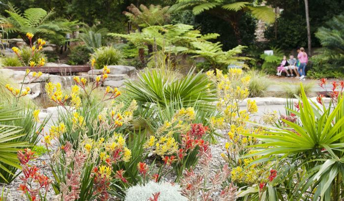 The Australian Botanic Garden at Mount Annan includes around 2,000 species of native plants.