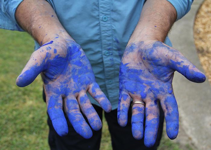 The artist says he once painted himself blue to prove the safety of the paint for the trees.
