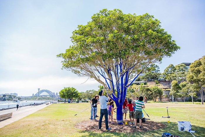 The Blue Trees working group at scenic Pirrama Park on Sydney Harbour.