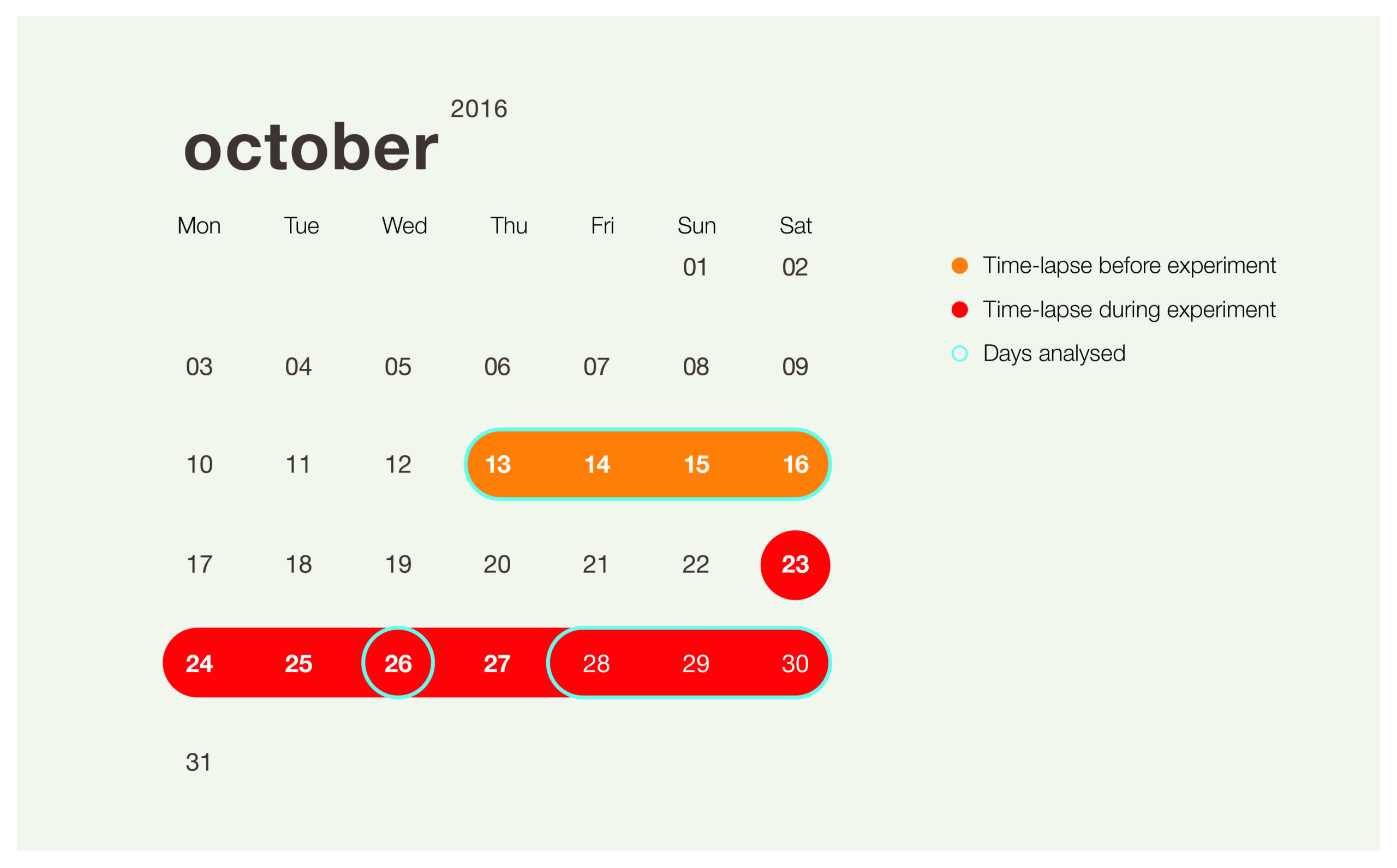 Experiment Calendar