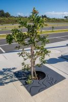 Custom tree grate with waterways perforation, powdercoated in Textura Monument.