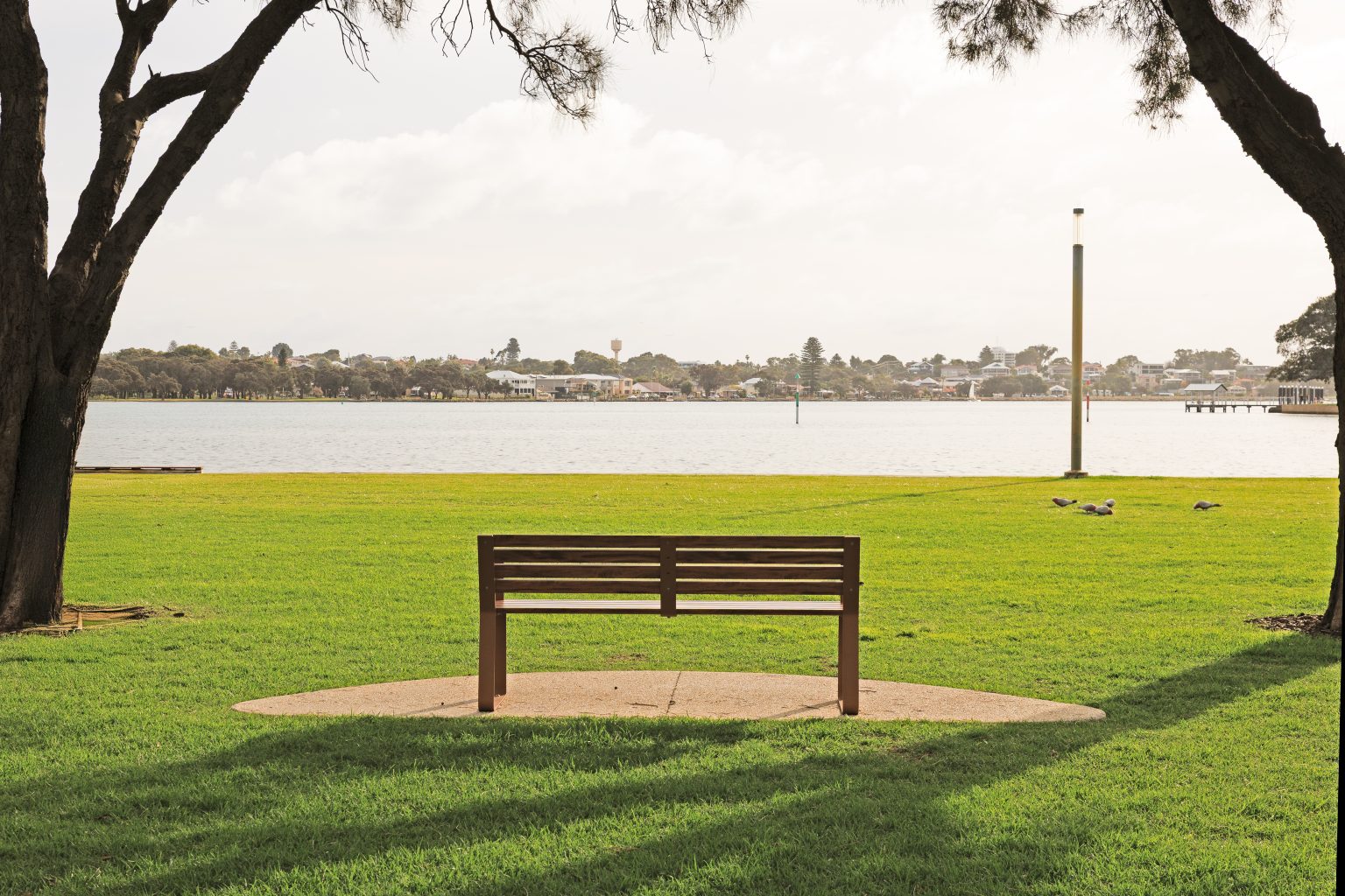 Linea Seat, 1800mm, with arms, aluminium woodgrain Spotted Gum battens, Textura Russet frames.