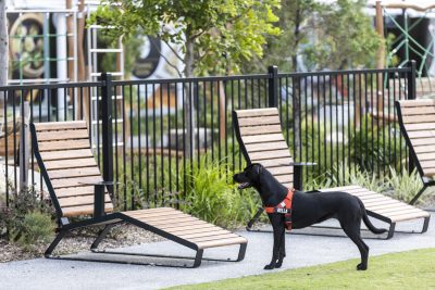 Linea Sun Lounge with side table, aluminium Spotted Gum battens, Night Sky frames. Image: Architectus