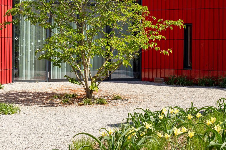 Trend Watch: Immersive Gardens Redefine Healthcare