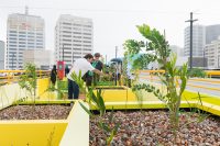 Launch of the SkyParks project. Photo: G-Fonne Photography.