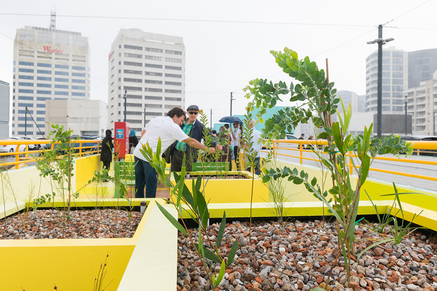 Launch of the SkyParks project. Photo: G-Fonne Photography.