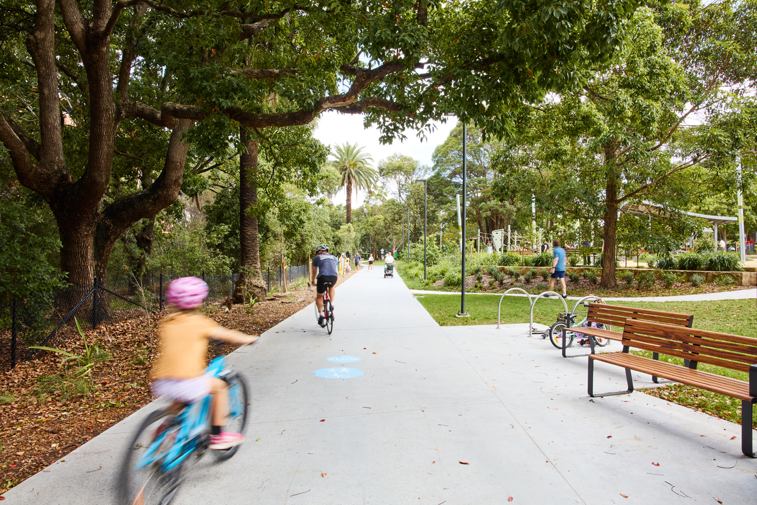 Johnson Park. People riding bikes on a sunny park path lined with trees and a bench to the right