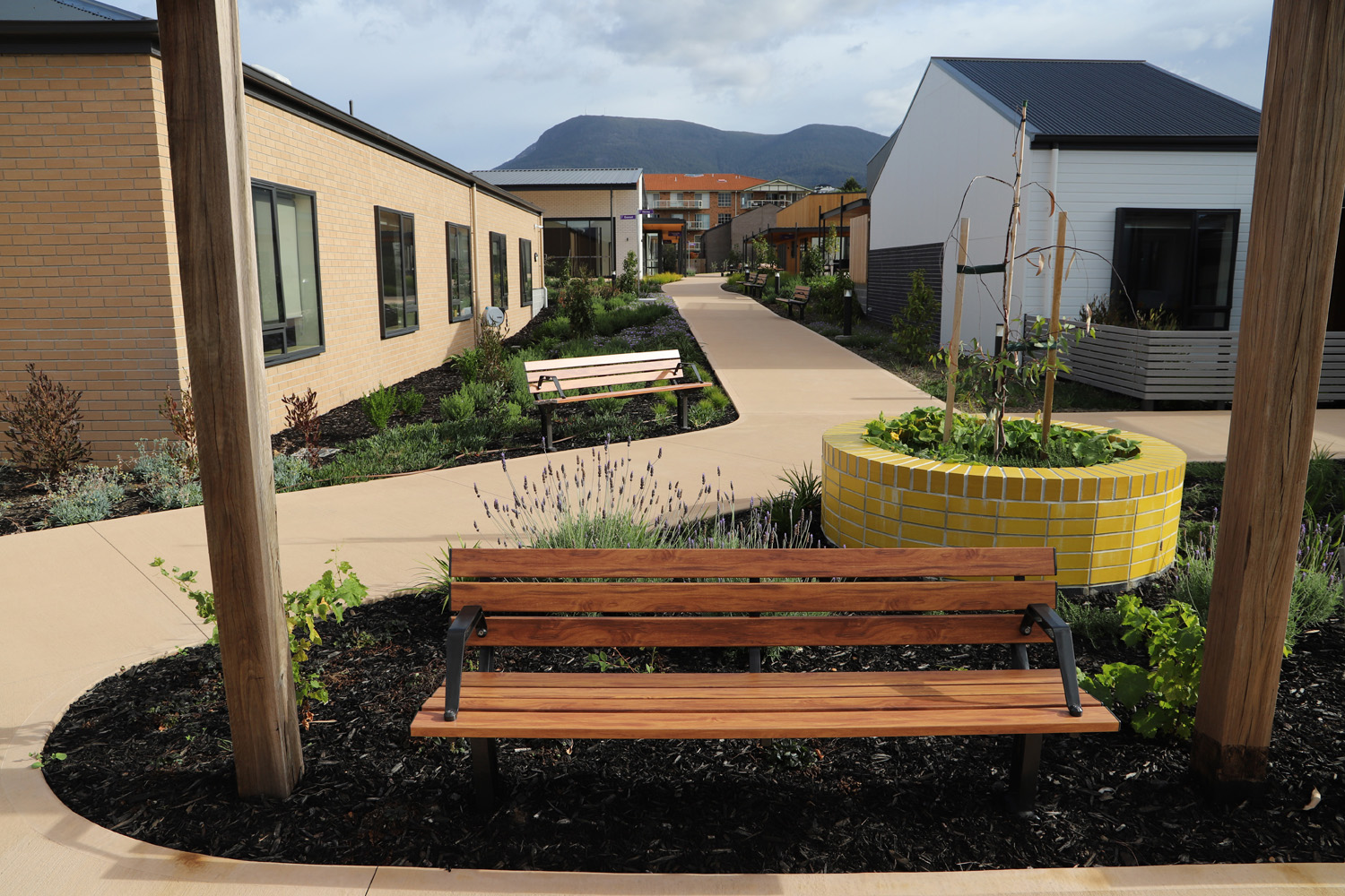 Park DDA Seats (PS7-DDA) with aluminium woodgrain Spotted Gum battens, Night Sky frames.