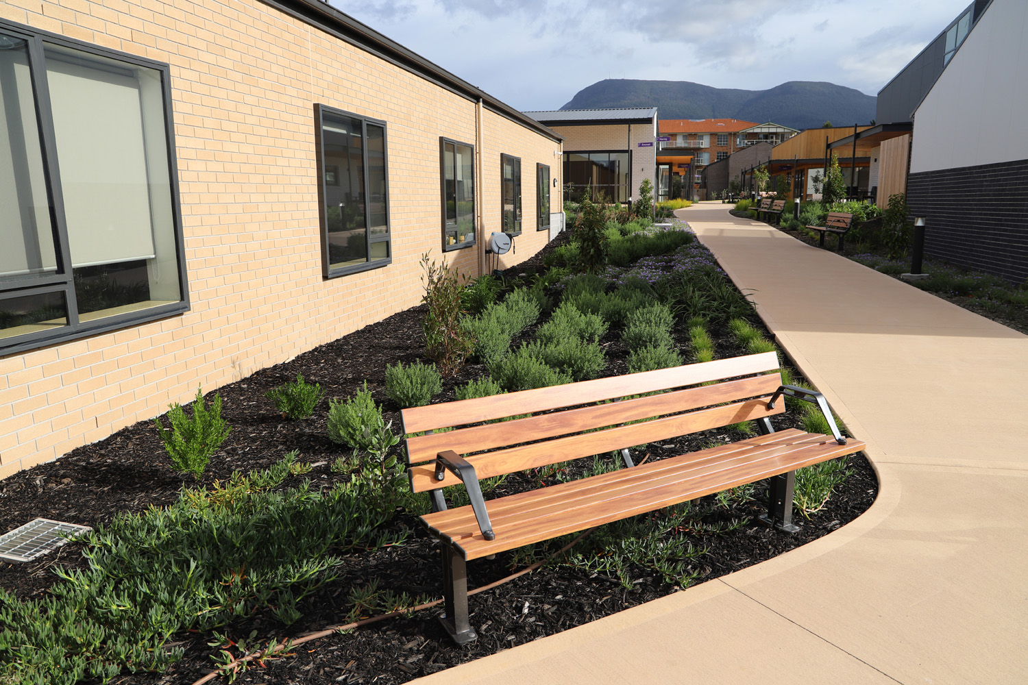 Park DDA Seats (PS7-DDA) with aluminium woodgrain Spotted Gum battens, Night Sky frames.