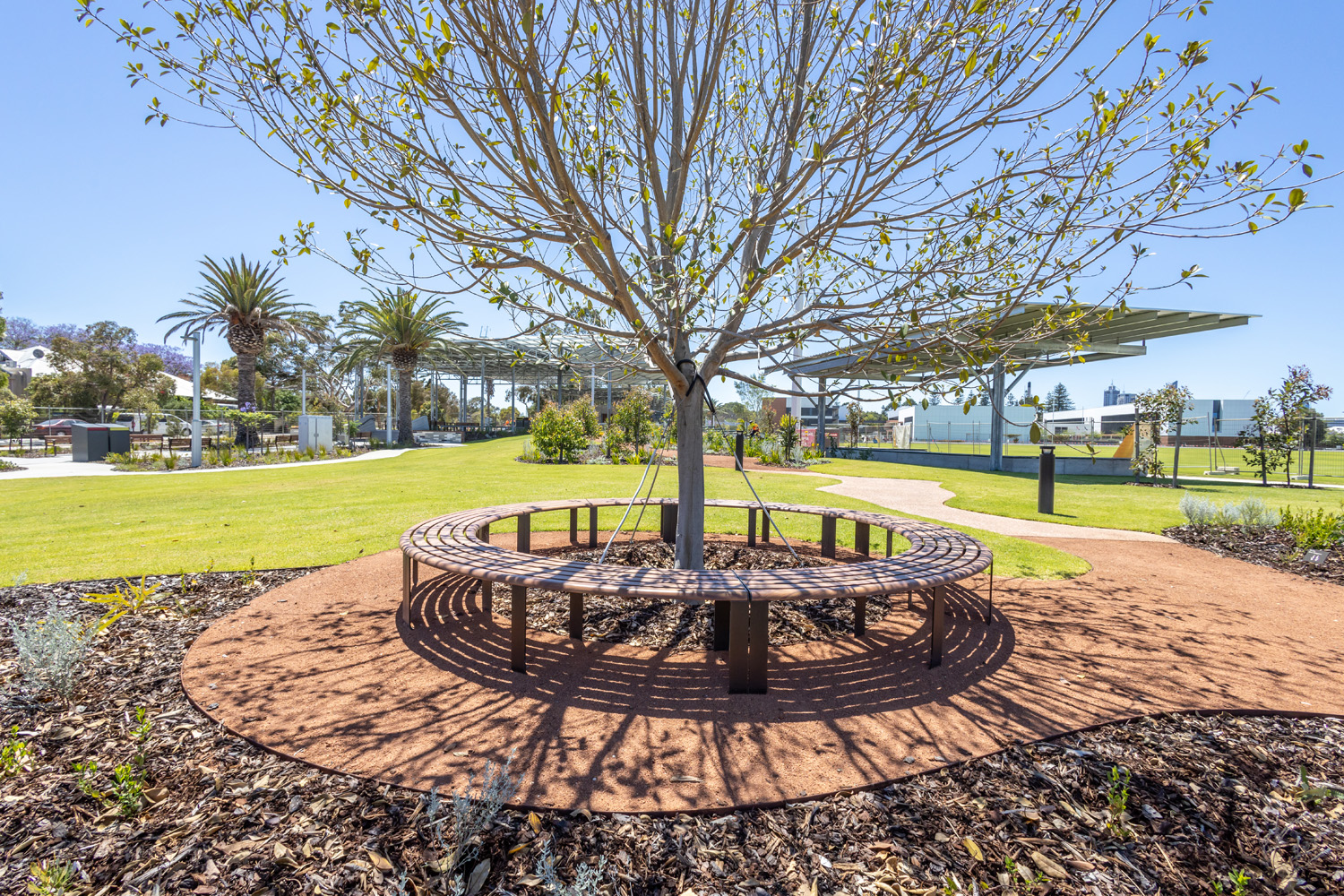 Linea Curved Bench (LIB6-C) with aluminium woodgrain Spotted Gum battens, Textura Dark Bronze frame.